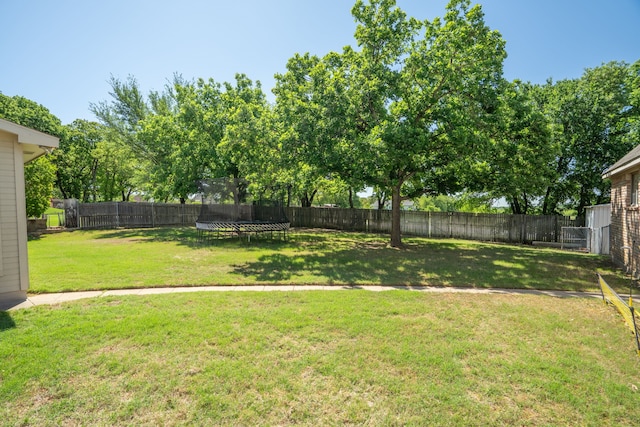 32 Royal Oaks Cir, Denton, TX 76210 - view of yard