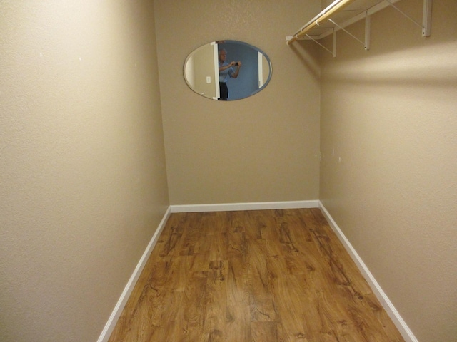 spacious closet featuring wood finished floors