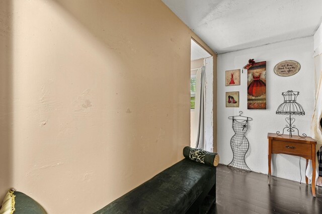 interior space with dark wood-style floors