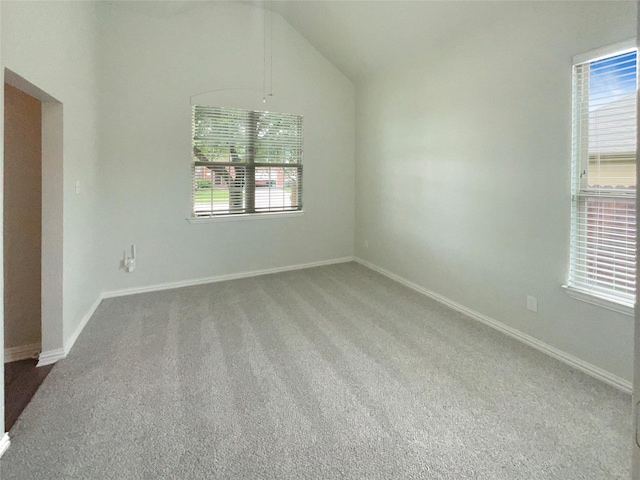 1005 Lake Hollow Dr, Little Elm, TX 75068 - spare room with lofted ceiling, carpet, a wealth of natural light, and baseboards