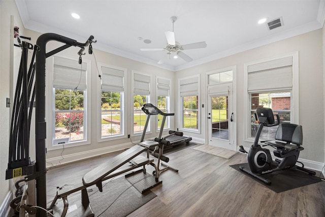 exercise area featuring wood finished floors, visible vents, ornamental molding, baseboards, and ceiling fan