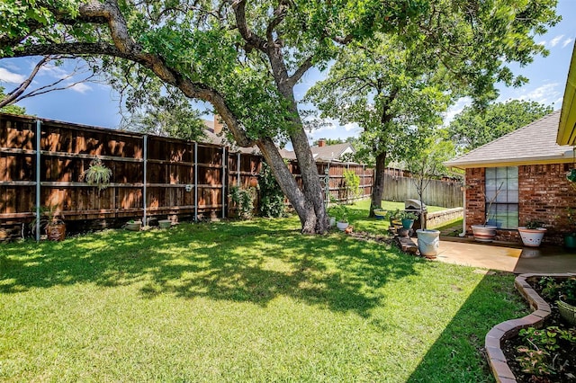 view of yard with a patio area and a fenced backyard