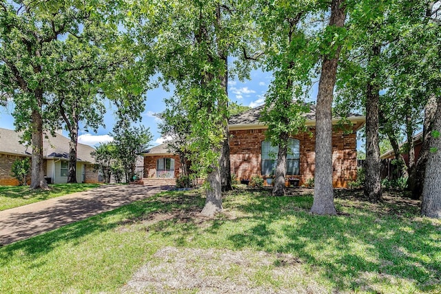 obstructed view of property with driveway, a front lawn, and brick siding
