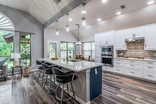 604 Lake Village Dr, Mckinney, TX 75071 - kitchen with a sink, stainless steel appliances, under cabinet range hood, dark wood-type flooring, and recessed lighting