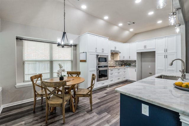 604 Lake Village Dr, Mckinney, TX 75071 - kitchen featuring a sink, stainless steel appliances, vaulted ceiling, dark wood-style floors, and under cabinet range hood