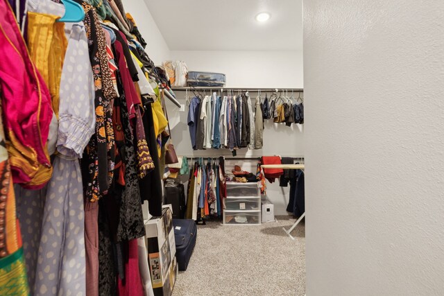 walk in closet with carpet floors