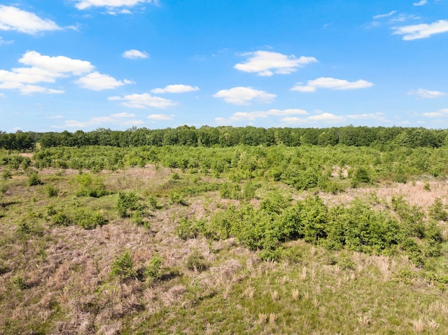 view of local wilderness