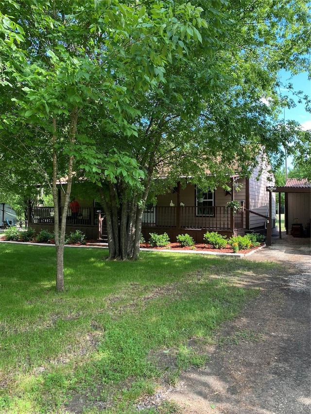 obstructed view of property with a front yard
