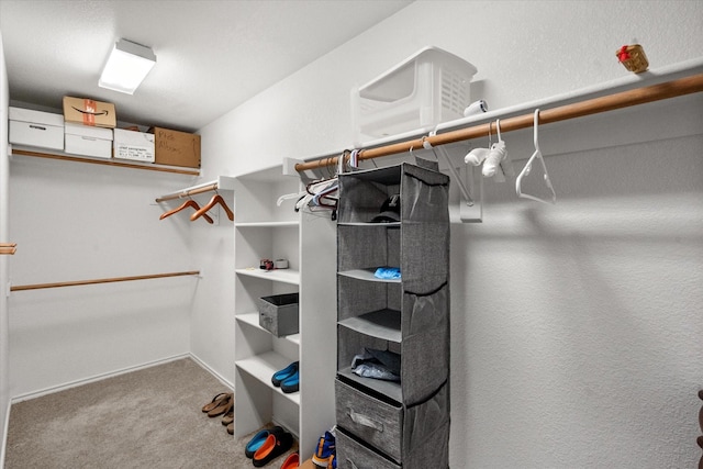 405 Londonderry Ln, Mansfield, TX 76063 - spacious closet with carpet floors