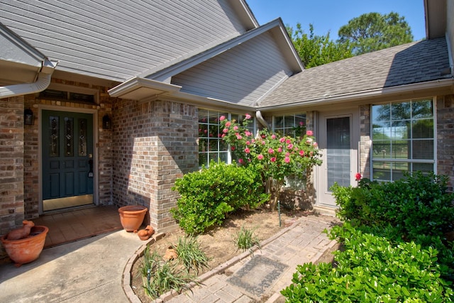view of exterior entry featuring brick siding and a shingled roof
