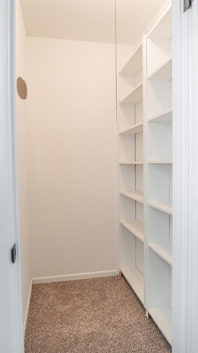 walk in closet with carpet floors