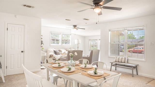 dining area featuring visible vents, a wealth of natural light, ceiling fan, and light colored carpet