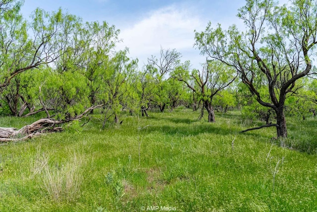 3734 Fm 600 S, Anson, TX 79501 - view of local wilderness