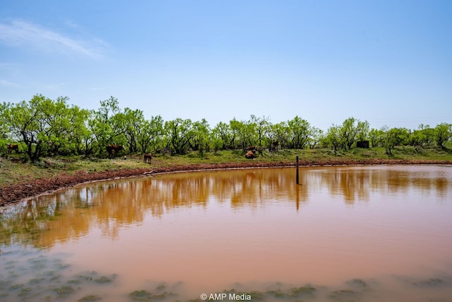 3734 Fm 600 S, Anson, TX 79501 - property view of water
