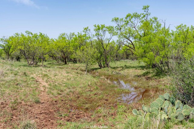 3734 Fm 600 S, Anson, TX 79501 - view of nature