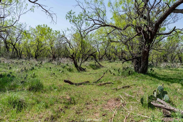 3734 Fm 600 S, Anson, TX 79501 - view of landscape