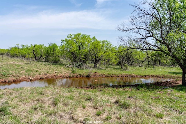 3734 Fm 600 S, Anson, TX 79501 - property view of water