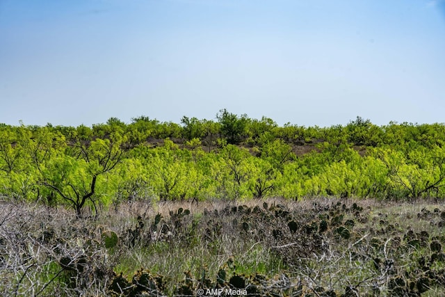 3734 Fm 600 S, Anson, TX 79501 - view of nature with a wooded view