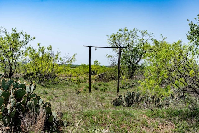 3734 Fm 600 S, Anson, TX 79501 - view of landscape