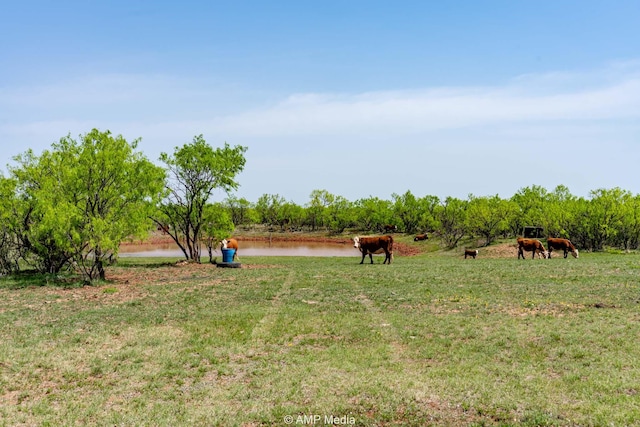 3734 Fm 600 S, Anson, TX 79501 - view of yard with a rural view