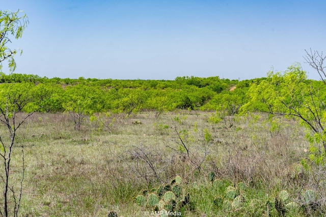3734 Fm 600 S, Anson, TX 79501 - view of local wilderness featuring a rural view