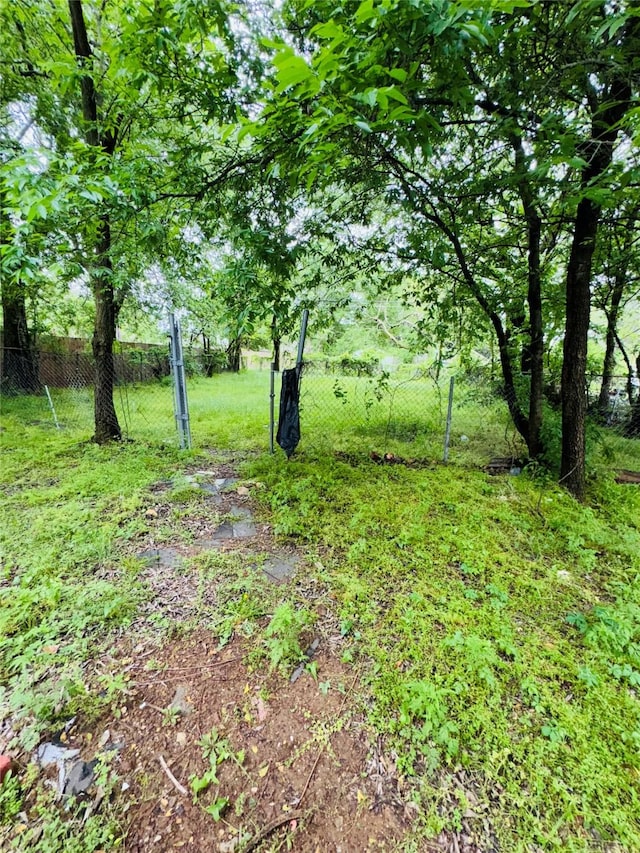 view of nature