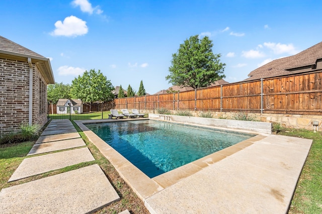 1001 Broadmoor Way, Roanoke, TX 76262 - view of swimming pool with a storage shed, a fenced in pool, a patio, and a fenced backyard