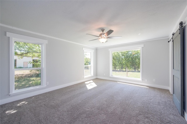empty room featuring a barn door, carpet, a ceiling fan, and a wealth of natural light
