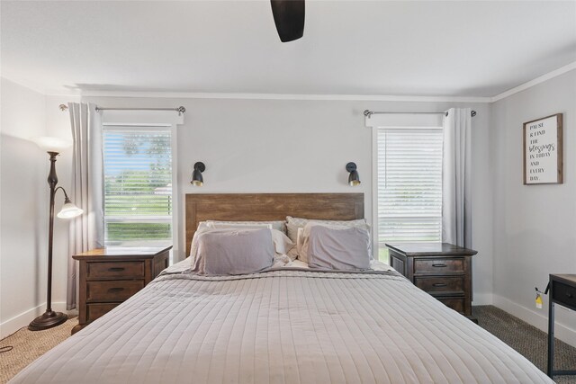 5247 Fm 1569, Farmersville, TX 75442 - empty room featuring a barn door, carpet, a ceiling fan, and a wealth of natural light