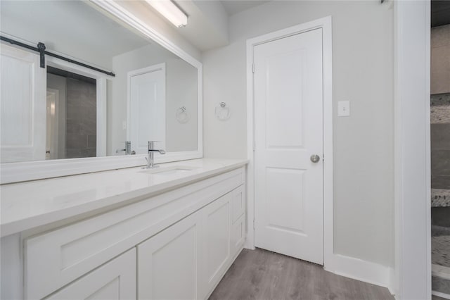 bathroom with vanity and wood finished floors