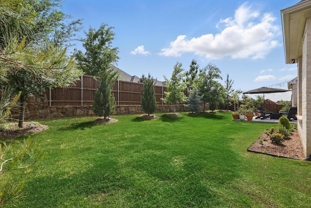 view of yard with a fenced backyard and a patio area