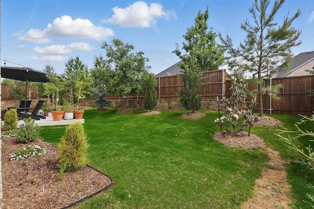 view of yard with a fenced backyard and a patio area