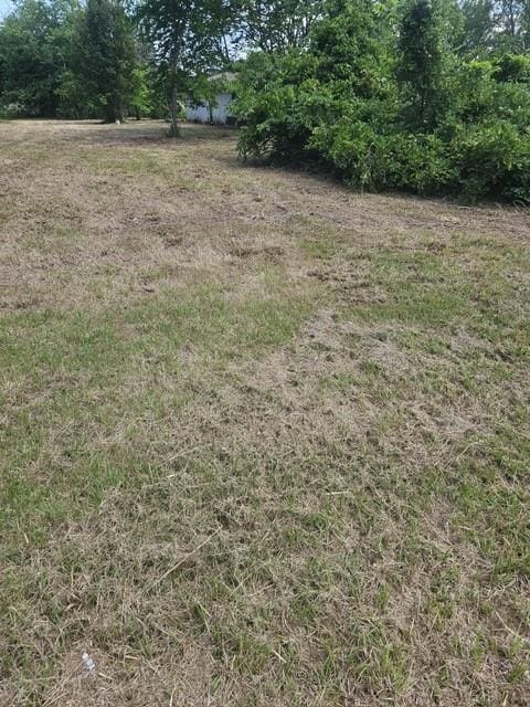 1726 County Road 279, Post Oak Bend, TX 75142 - view of yard