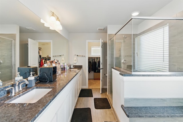 bathroom featuring a sink, a walk in closet, a shower stall, and a healthy amount of sunlight