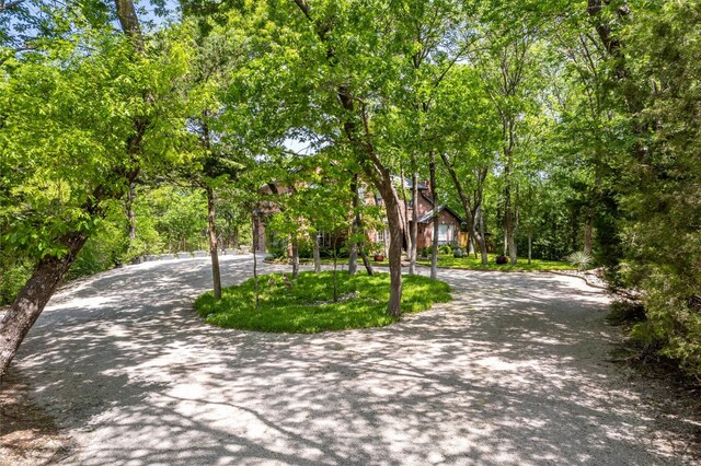 view of property's community featuring curved driveway