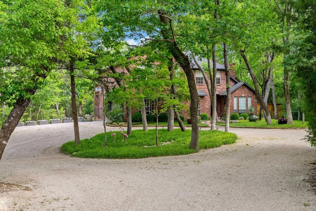 view of front of home featuring curved driveway