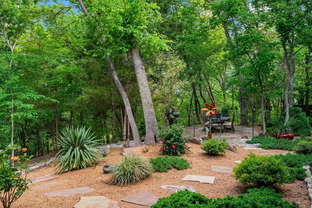 view of yard featuring a patio area