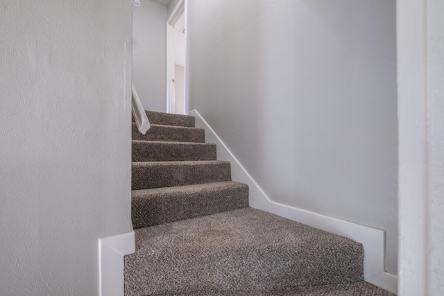 stairway with carpet floors