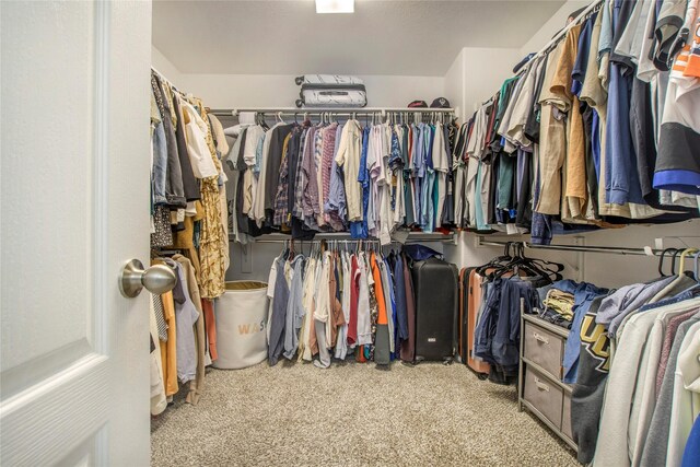 spacious closet with carpet