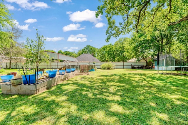 259 Deer Valley Dr, Powderly, TX 75473 - view of yard with a trampoline and a fenced backyard
