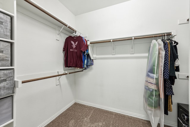 spacious closet with carpet floors