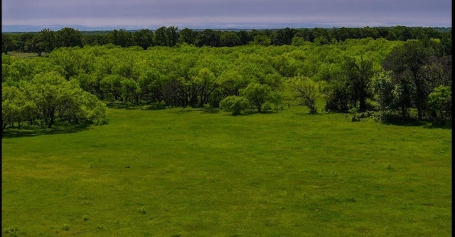 view of nature featuring a rural view