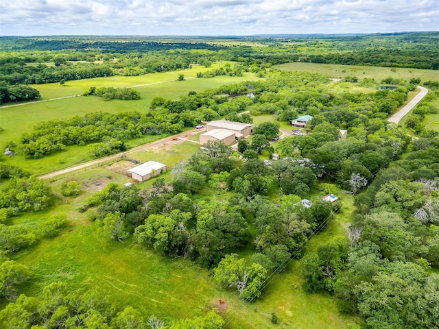 7203 Pump Station Rd, Jacksboro, TX 76458 - aerial view of sparsely populated area