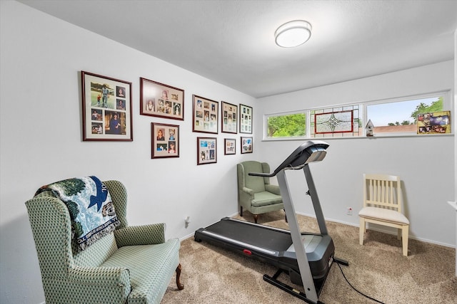 1410 Hummingbird Dr, Hillsboro, TX 76645 - exercise room with carpet and baseboards
