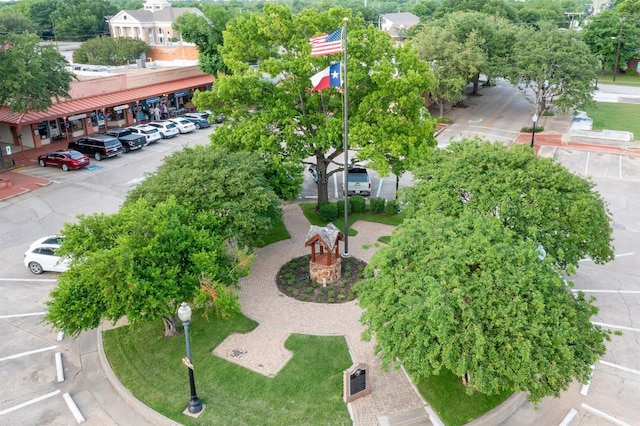 bird's eye view