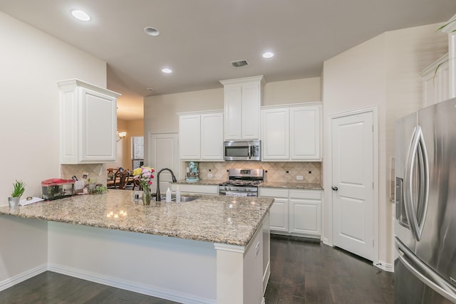 kitchen with a sink, a peninsula, stainless steel appliances, and decorative backsplash