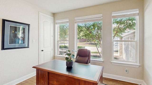 139 Townlake Dr, Prosper, TX 75078 - office area featuring baseboards, light wood-style floors, and healthy amount of natural light