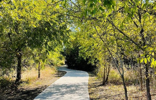 1101 Riverstone Trl, Princeton, TX 75407 - view of community with a view of trees