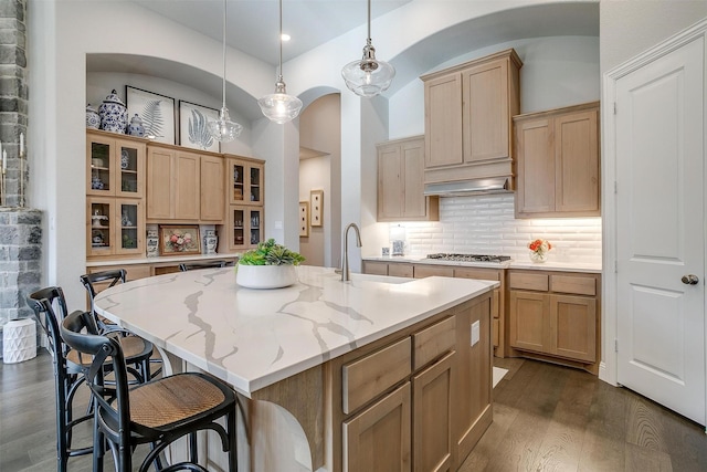 kitchen with a sink, light brown cabinets, an island with sink, and dark wood-type flooring