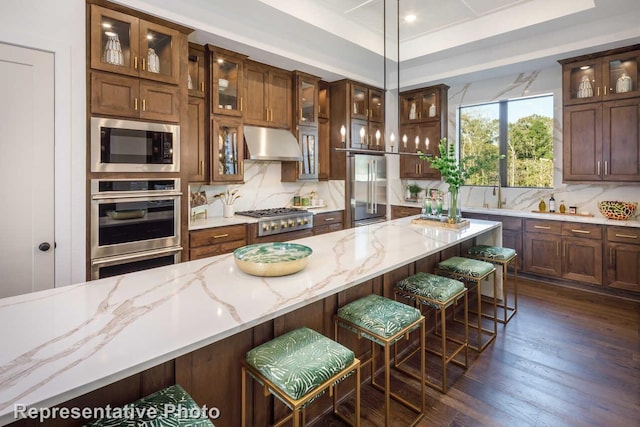 kitchen with dark wood finished floors, stainless steel appliances, under cabinet range hood, backsplash, and a tray ceiling